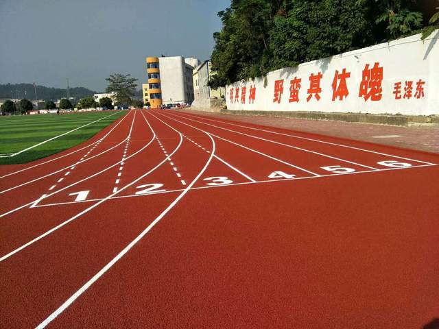 leyu.体育(中国)官方网站塑胶跑道类型丨透气型塑胶跑道的8大优点必博体育-1(图2)