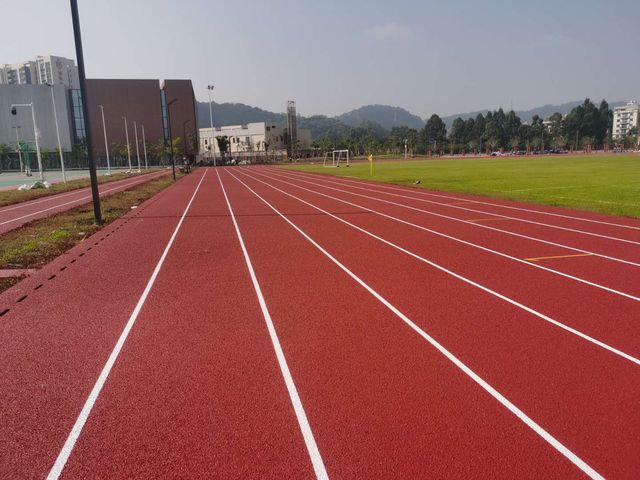 广东塑胶跑leyu.体育(中国)官方网站道厂家丨无溶剂全塑型塑胶跑道优势分析！(图2)