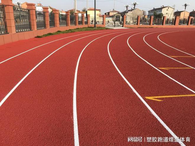 优质塑胶跑道材料有哪些特点？一分钟告leyu.体育(中国)官方网站诉你！(图3)